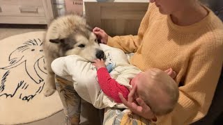 Giant Sulking Dog Refuses To Leave Baby's Nursery Until She Sleeps (CUTEST VIDEO EVER!!)