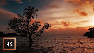 10 Hours, Ocean Sounds For Sleep And Study In Koh Chang Island, Sunset To Sunrise Asmr