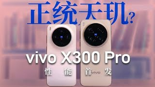📸【vivo X300 Pro 对比 iPhone 17 Pro Max】哪款才是真货？一场影像旗舰的世纪大战！🔥