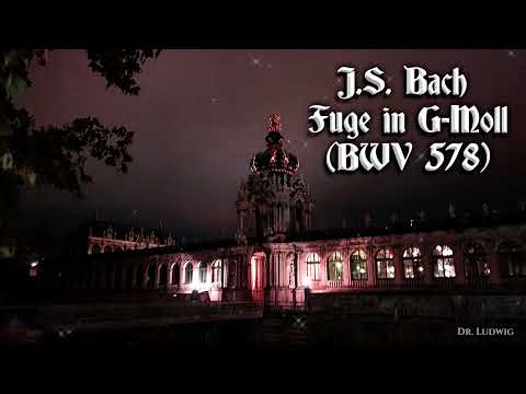 J.S. Bach •