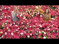 Surprising My Friend With 1000's of Flowers For Her Birthday!