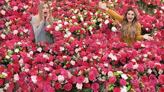 surprising my friend with 1000s of flowers for her birthday