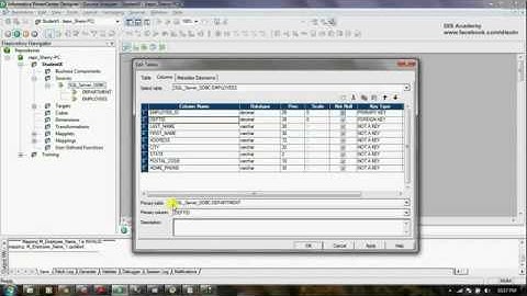 Informatica Tutorial 4   Working with Source Analyzer