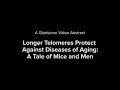 Video abstract: Telomeres Protect Against Diseases of Aging: A Tale of Mice and Men