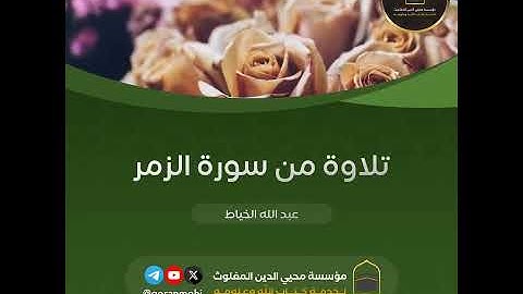 تلاوة من سورة الزمر