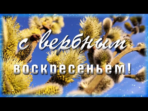 С вербным воскресеньем!