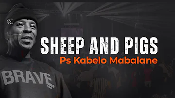 Sheep and Pigs | Ps Kabelo Mabalane