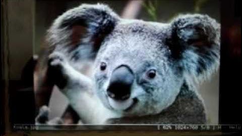 ER-TFTM070 Display am Raspberry Pi 2