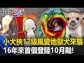 16年來首個登陸10月颱！小犬變身「地獄犬」來襲 暴力南半圈挾17級超強風！？【關鍵時刻】20231004-1 劉寶傑 黃世聰 鄭哲聖 黃暐瀚 馬西屏