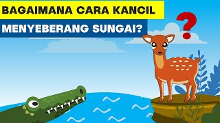 Teka teki sulit terbaru  dijamin bikin bingung  8 riddle & teka teki tukang trik