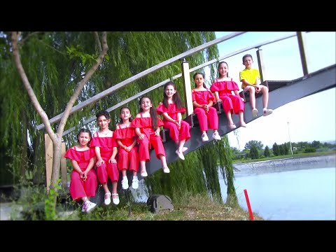 ქართული სიმღერების პოპური -  სტუდია ,,ლურჯა ცხენები\"