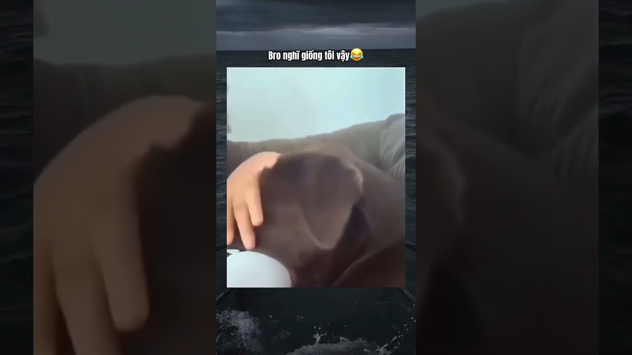 P67 | Bro nghĩ giống tôi vậy#funny #viral #haihuoc #shortvideo