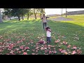 11/9/21 playing in park