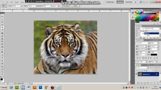 Photoshopta  Action    nasıl yapılır screenshot 5