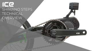 Steps Technical Overview 2021