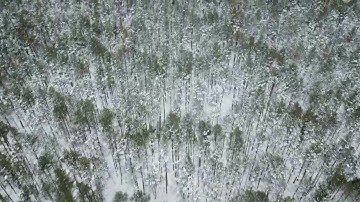 2022 01 22 14 44 58 +02