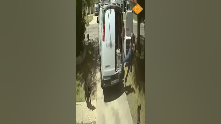 اضحك مع لدي علق في قفل باب سيارة وكلابه تنضر اليه😄🐾😂🐶🚗🐕💭#shorts #هتضحك #كوميديات #memes #automobile