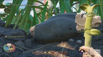 Grounded Playthrough, Whoa! Difficulty Ep 1, A Fresh Start