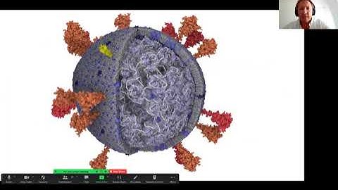 VCF with Ivan Viola: 3D Visualization and Modeling of Biological Ultrastructure