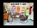 Chó con hung dữ và cái kết🤣