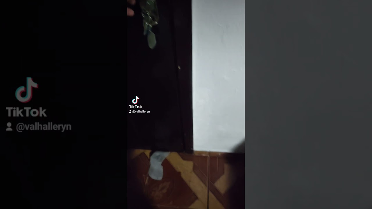 Siryus Black é você? 