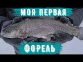 моя первая рыбалка, форель, форельник. східниця, улов форели, зимняя рыбалка