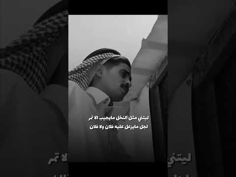 ليتني مثل النخل مايجيب الا تمر لجل مايزعل عليه فلان وفلان