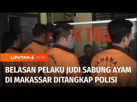 Taruhan Jutaan Rupiah, Belasan Pelaku Judi Sabung Ayam Ditangkap Polisi | Liputan 6