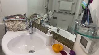 P&O Britannia Accessible Cabin D301