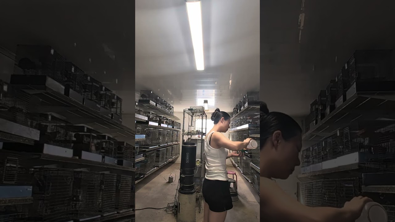 I really don't have to go to Gym. This is part of my routine. 🥹