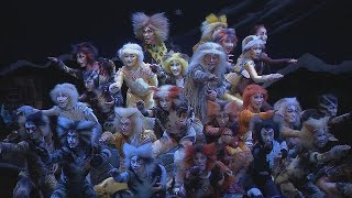 劇団四季ミュージカル「キャッツ」 広島で公演中 - YouTube