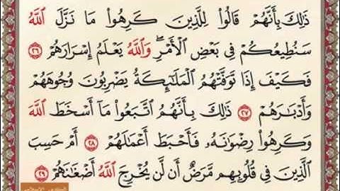 سورة محمد من 24 الى 32