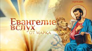 8 Беседы на Евангелие от Марка  Олег Стеняев  Беседа 8