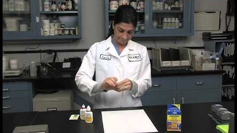 How to use the API liquid ammonia test kit