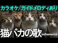 【AI MV/カラオケ】猫バカの歌／カラオケ／ガイドメロディあり／instrumental／インストゥルメンタル