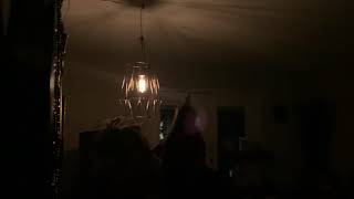 Brainless Interludes (Official video)