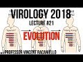 Virology Lectures 2018 #21: Evolution