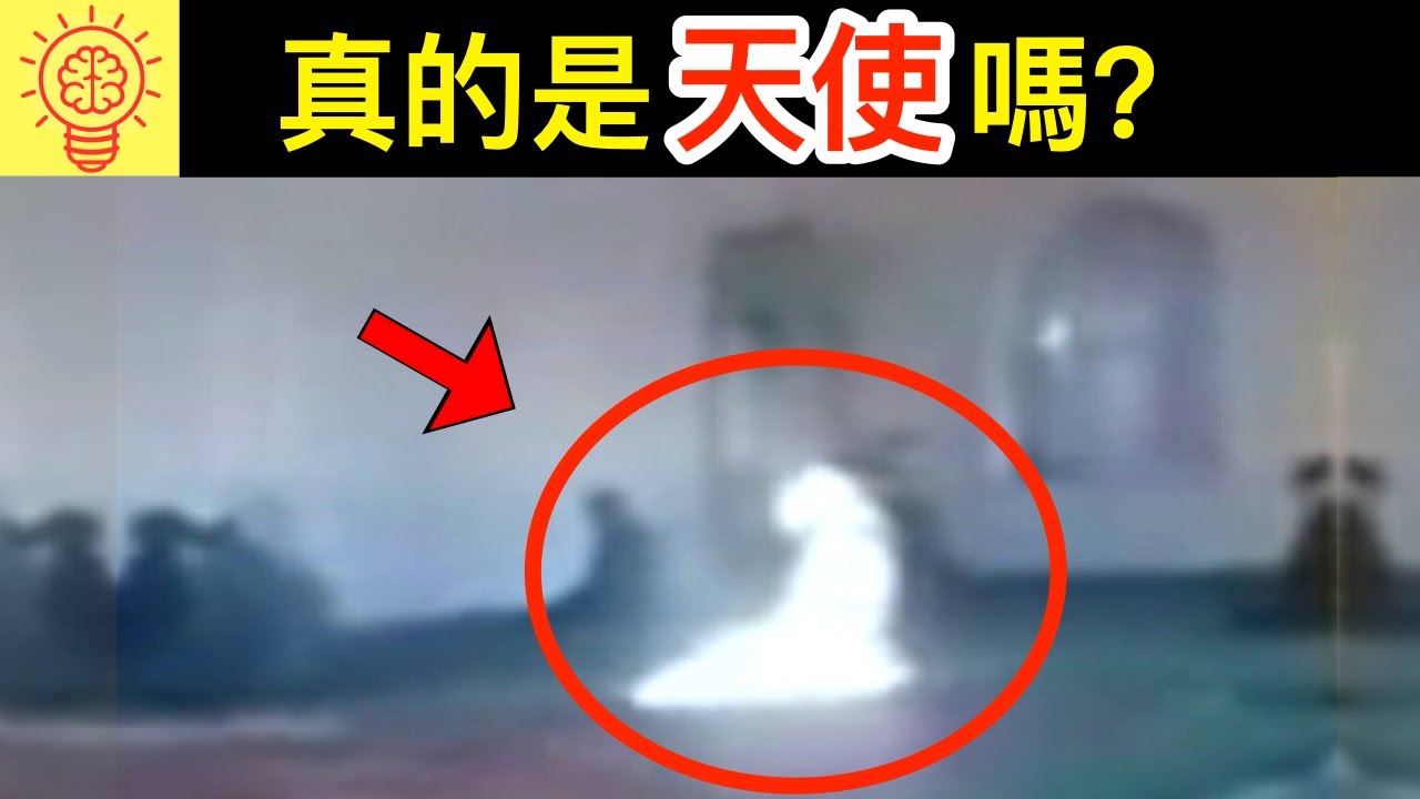 相信是天使被記錄下來的畫面！