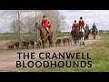 Hunting with Bloodhounds & The Cranwell Bloodhounds