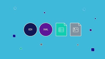 OpenText Data Integrator (BizManager) for B2B integration and managed file transfer