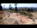 O cão que podia voar!!!! Ou achou que podia...