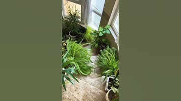 تلاوة عطرة ماشاءالله 🍃✨
