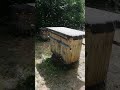 Процесс хороший #music #nature