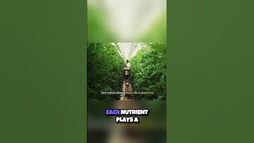 Unlocking Crop Potential  Mastering Nutrient Management 🌱