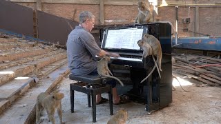 Piano for Macaques BEHINDTHESCENES narrated by Emilie (5yearsold)