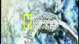 National Geographic Channel HD