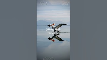 تلاوة تقشعر لها الأبدان وصوت يزلزل القلوب{ دعواهم فيها سبحانك }[ #سورة_يونس ]القارى| عبدالرحمن مسعد