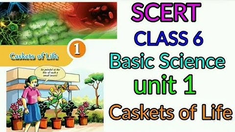 Basic Science Standard 6 || Caskets of Life || Part 1|| English Medium Well Explained