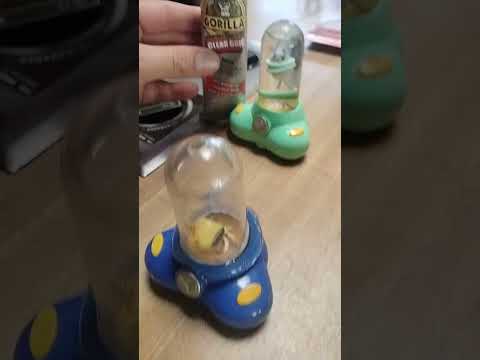 Aquapets Update 140 Aquapets Maintenance Stinga 2000s Aquapets Nostalgia Fixing 