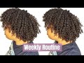 🚿 My Wash Day + Twist Out Routine | Type 3c 4a Low Porosity Natural Hair